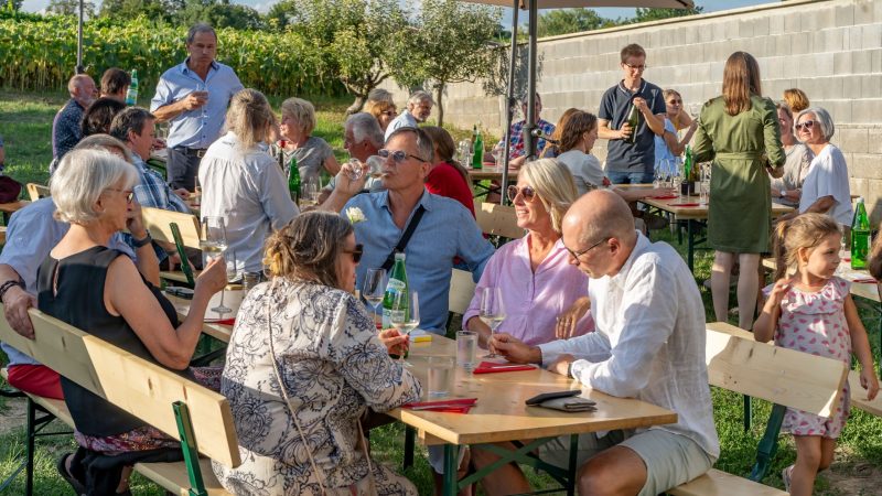 Verkostung im Weingarten