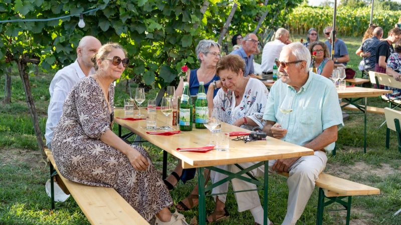 Verkostung im Weingarten